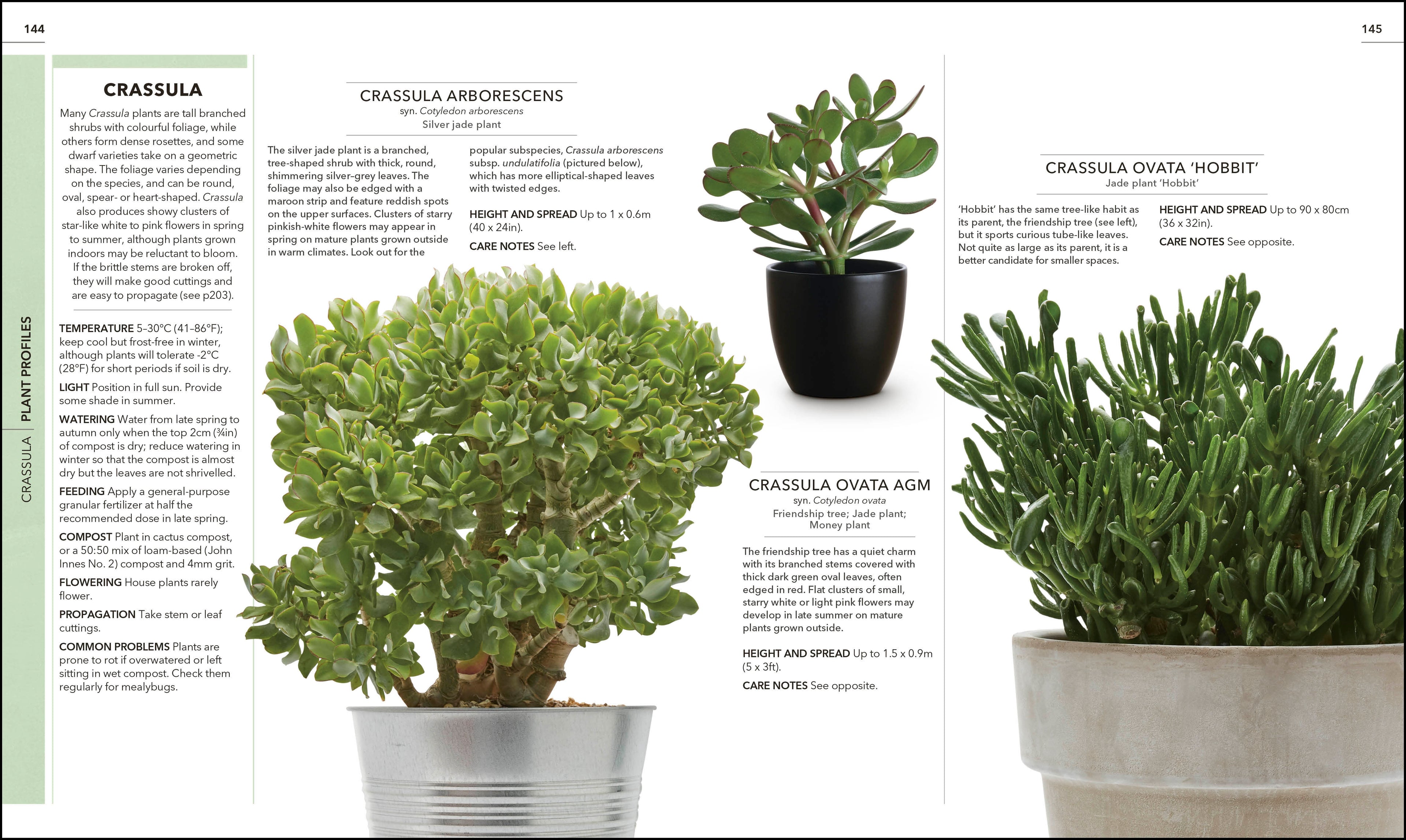 RHS Practical Cactus and Succulent Book