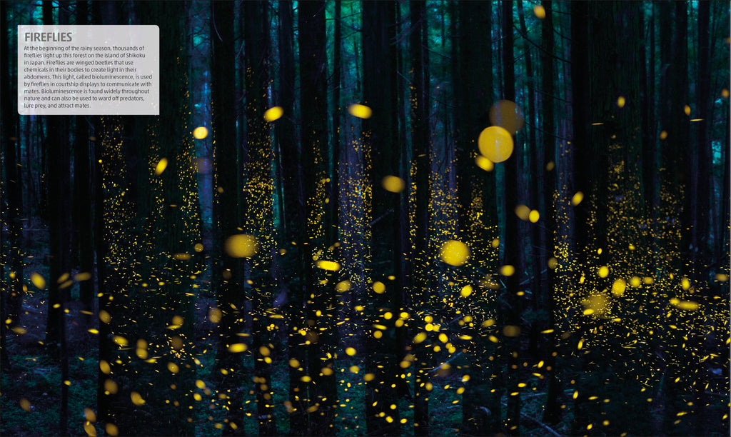 Explanatorium of Nature