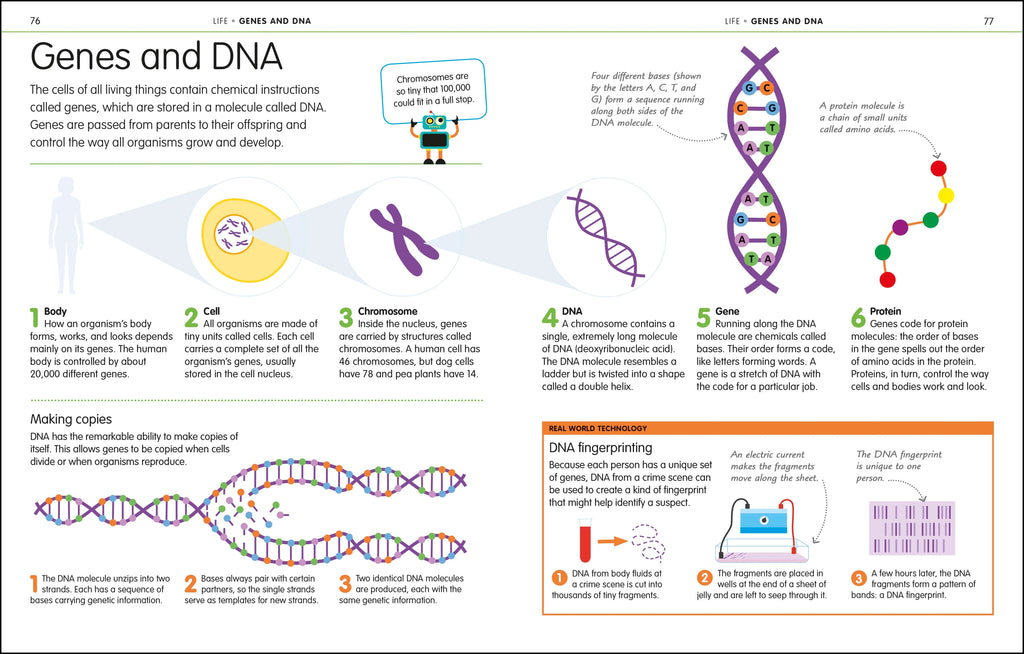 How to Be Good at Science, Technology, and Engineering