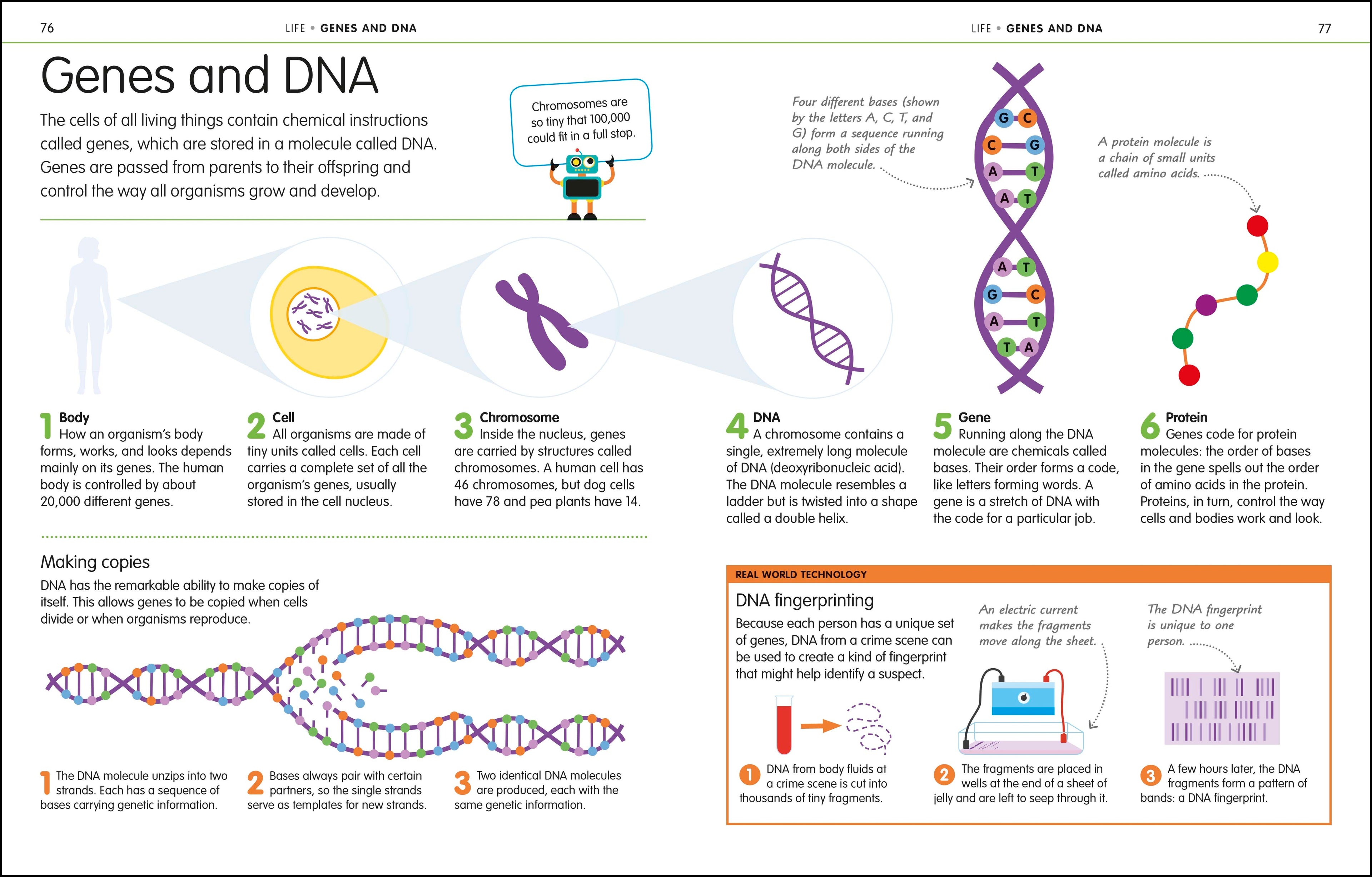 How to Be Good at Science, Technology, and Engineering