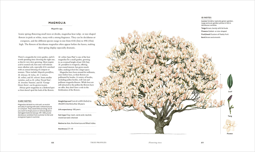 The Tree in My Garden-Spread, Image, (PRHC, Design, Do, Not, Use)-10