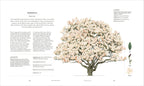 The Tree in My Garden-Spread, Image, (PRHC, Design, Do, Not, Use)-10