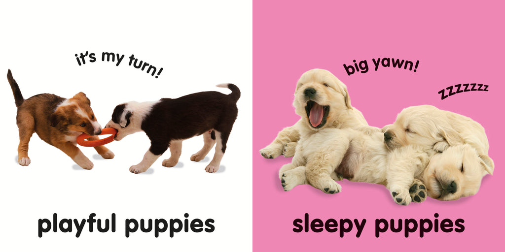 Baby Touch and Feel: Puppies