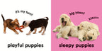 Baby Touch and Feel: Puppies