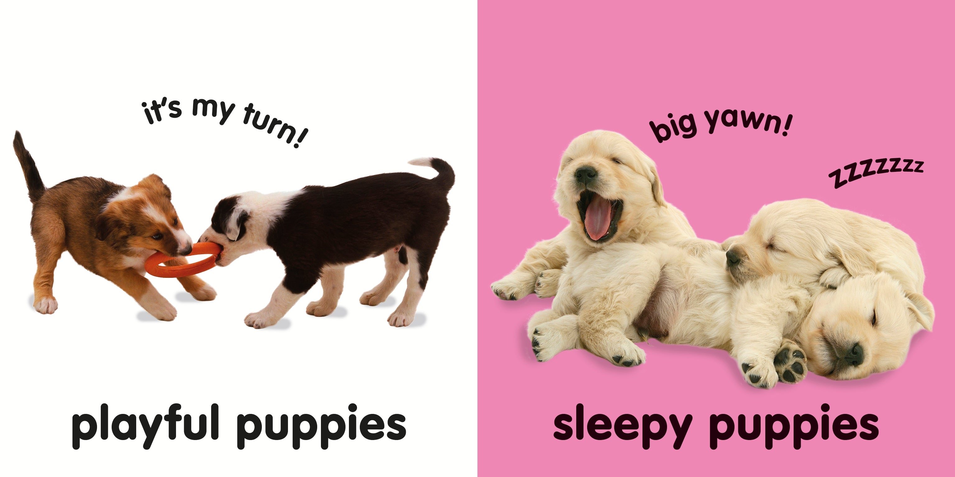 Baby Touch and Feel: Puppies