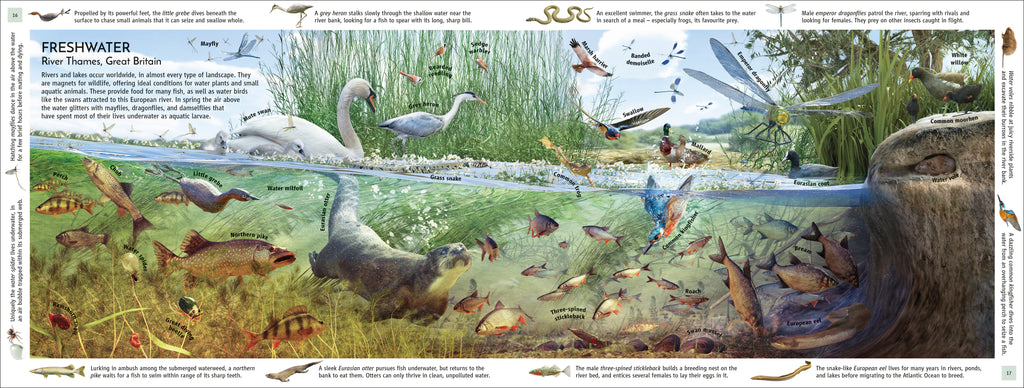 Habitats of the World