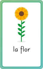 Spanish for Everyone Junior First Words Flash Cards-Spread, Image, (PRHC, Design, Do, Not, Use)-12