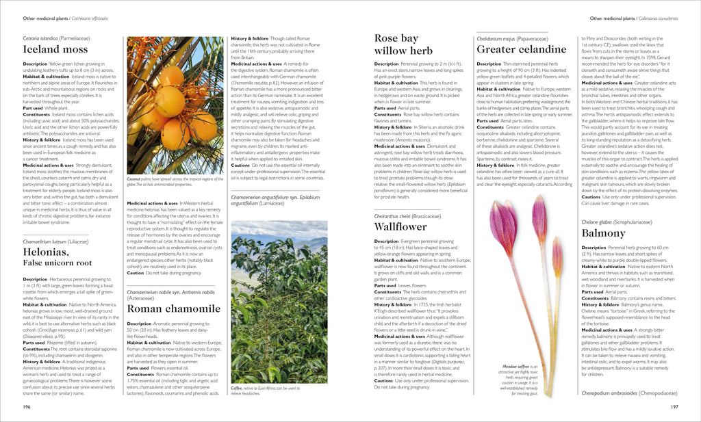 Encyclopedia of Herbal Medicine New Edition-Spread, Image, (PRHC, Design, Do, Not, Use)-5