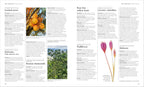 Encyclopedia of Herbal Medicine New Edition-Spread, Image, (PRHC, Design, Do, Not, Use)-5
