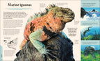 Galapagos-Spread, Image, (PRHC, Design, Do, Not, Use)-3