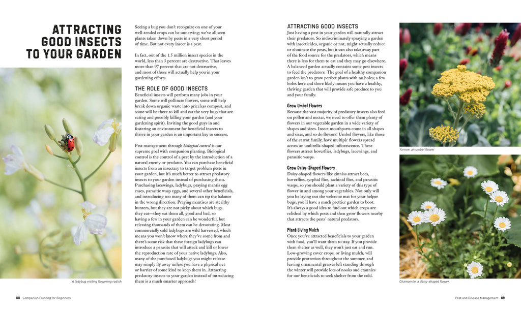 Companion Planting for Beginners-Spread, Image, (PRHC, Design, Do, Not, Use)-3