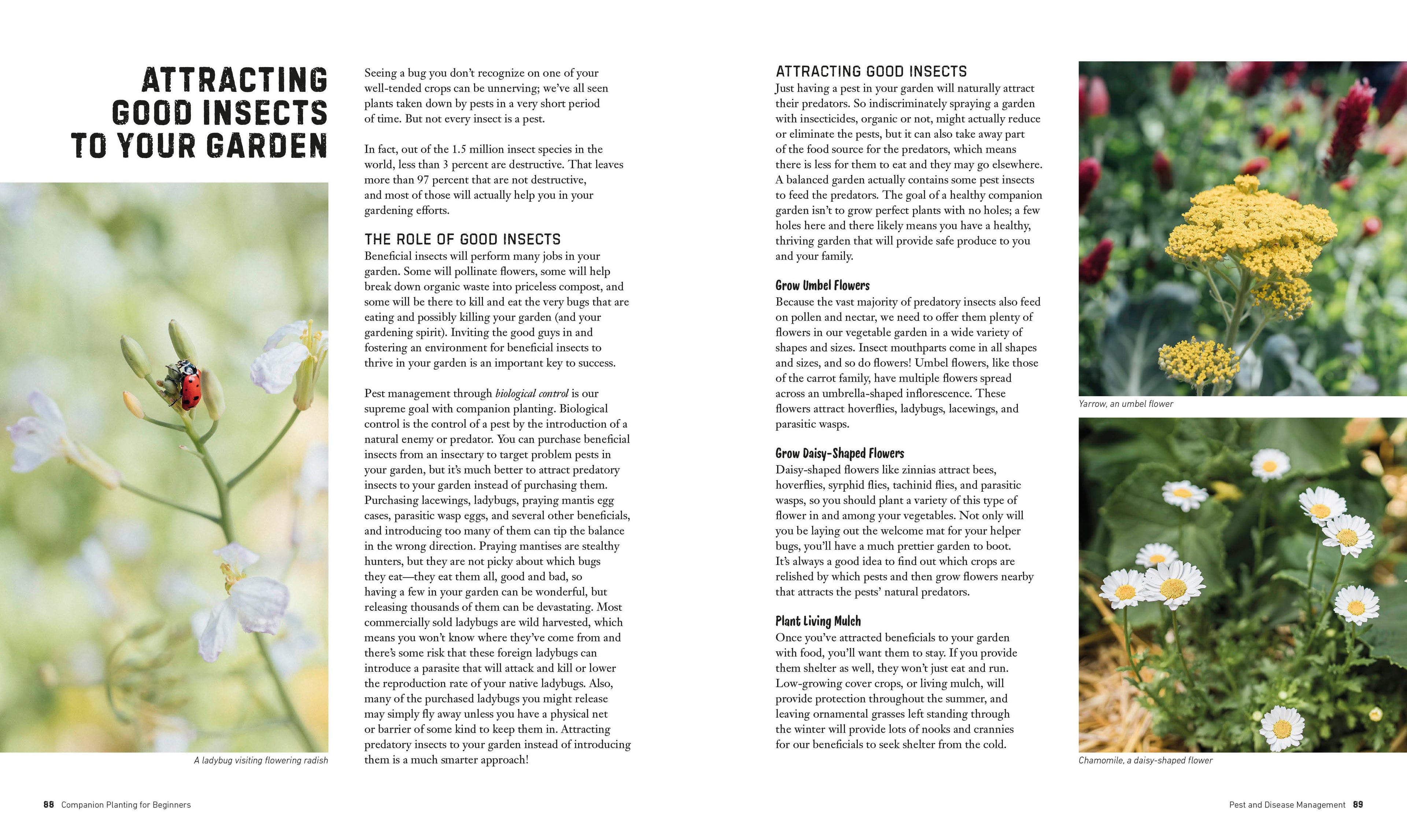 Companion Planting for Beginners-Spread, Image, (PRHC, Design, Do, Not, Use)-3
