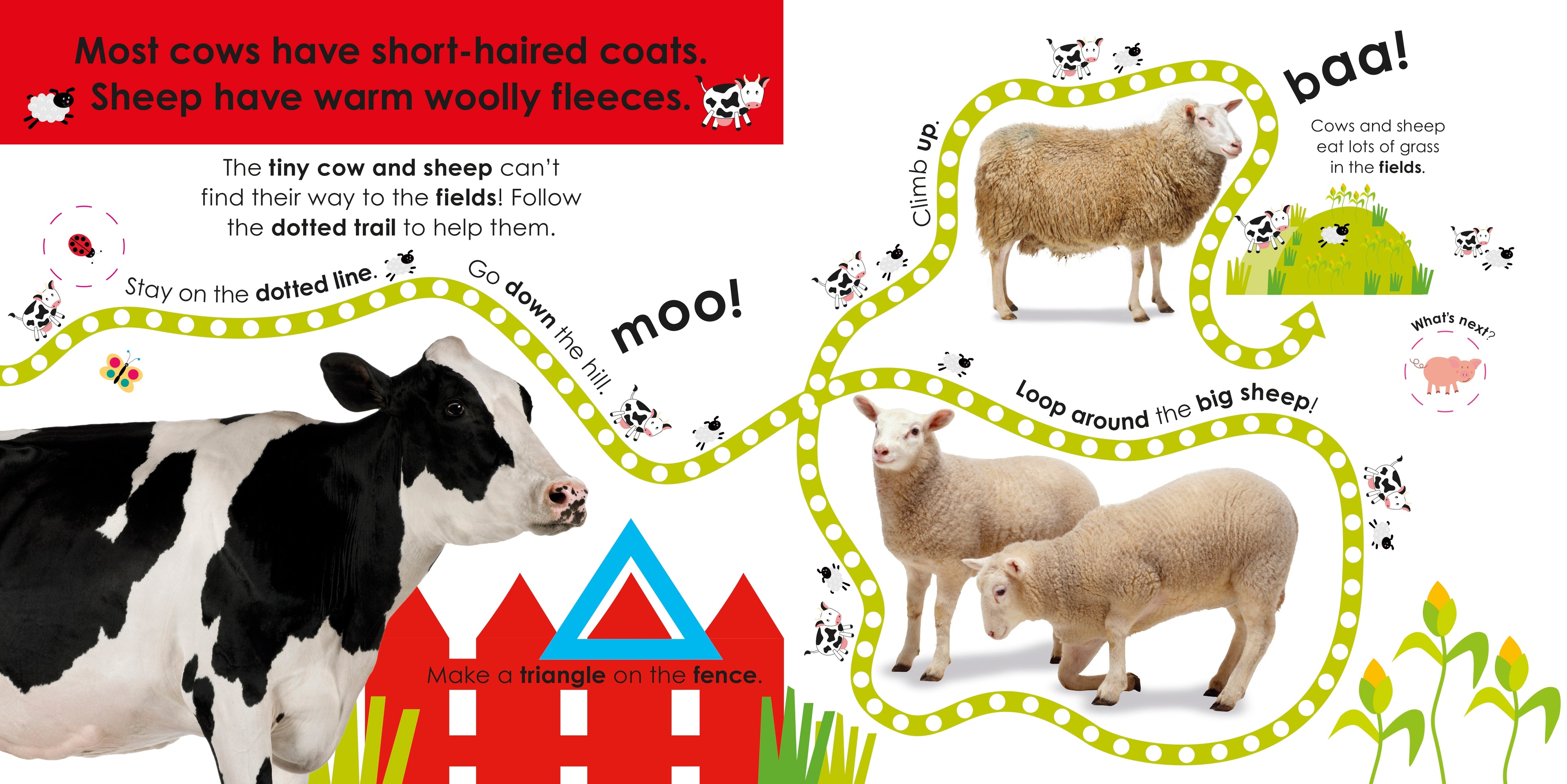 Follow the Trail: Farm