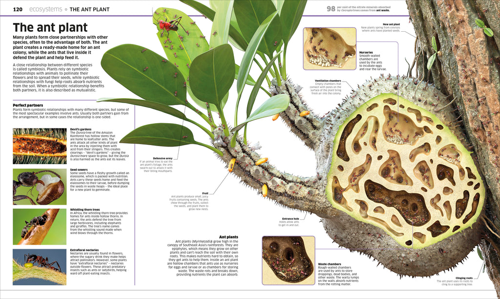 Knowledge Encyclopedia Plants and Fungi!