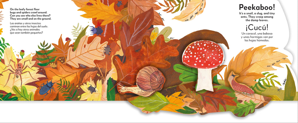 Bilingual Pop-Up Peekaboo! Forest - El bosque-Spread, Image, (PRHC, Design, Do, Not, Use)-7