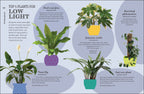 How Not to Kill Your Houseplant-image