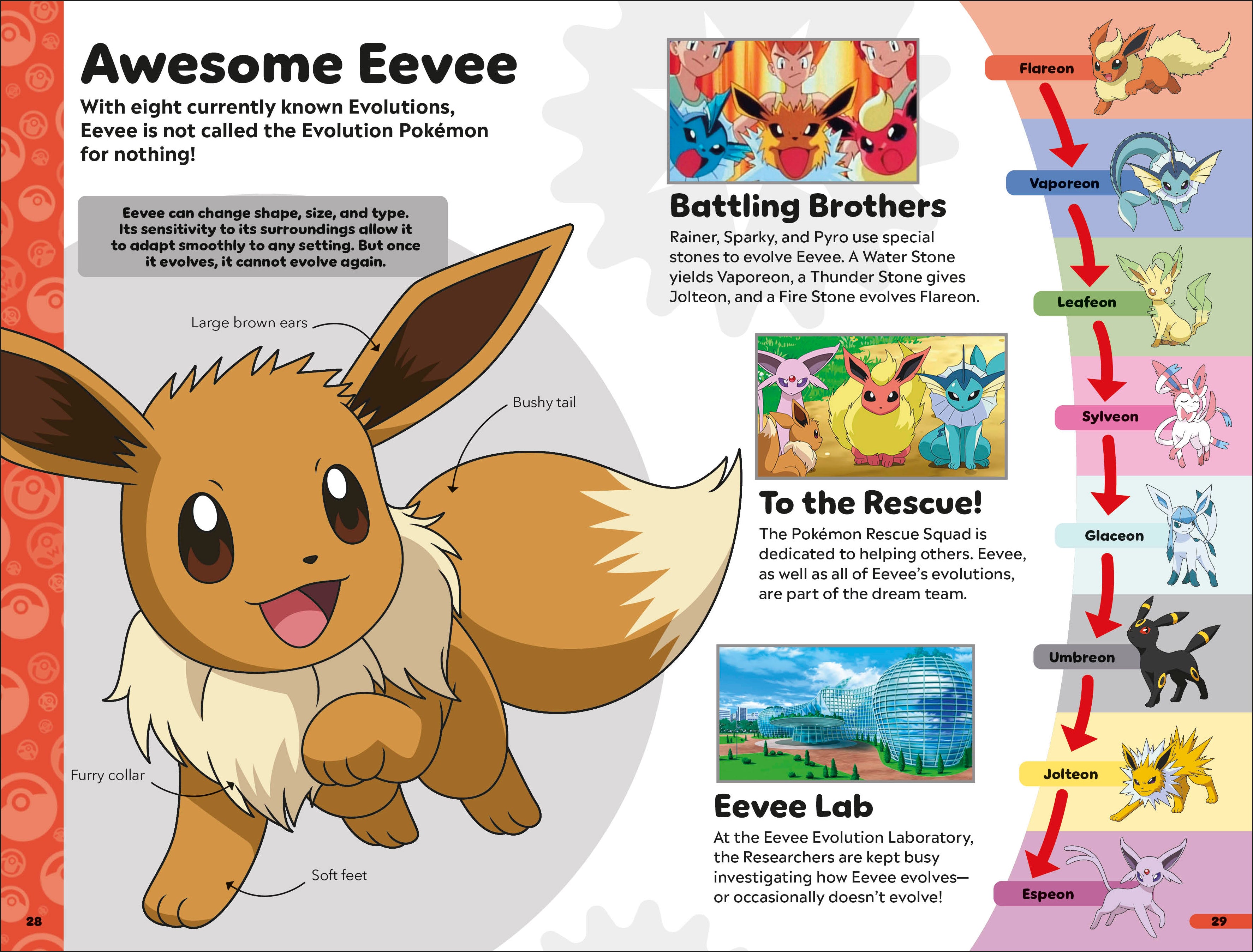 Pokémon Book of Evolutions