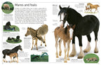 DK Eyewitness Books: Horse