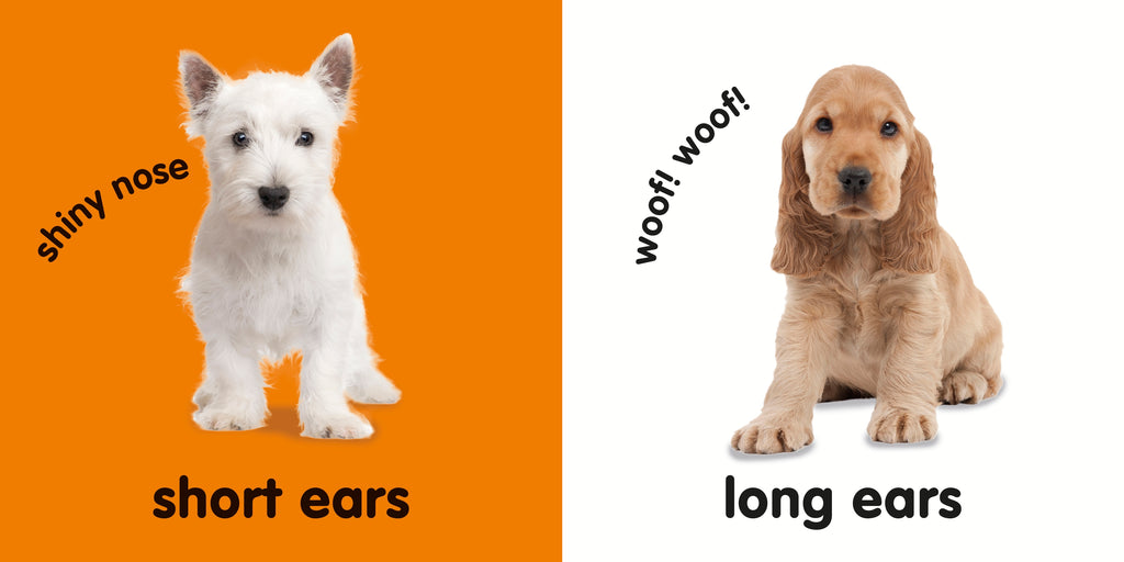 Baby Touch and Feel: Puppies