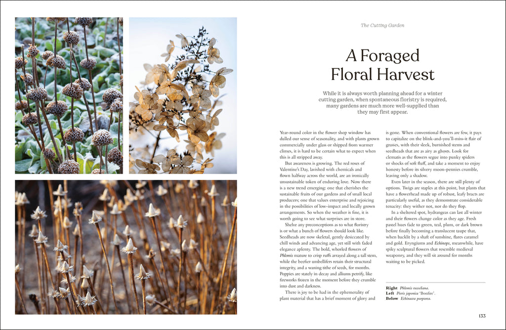 The Winter Garden-image