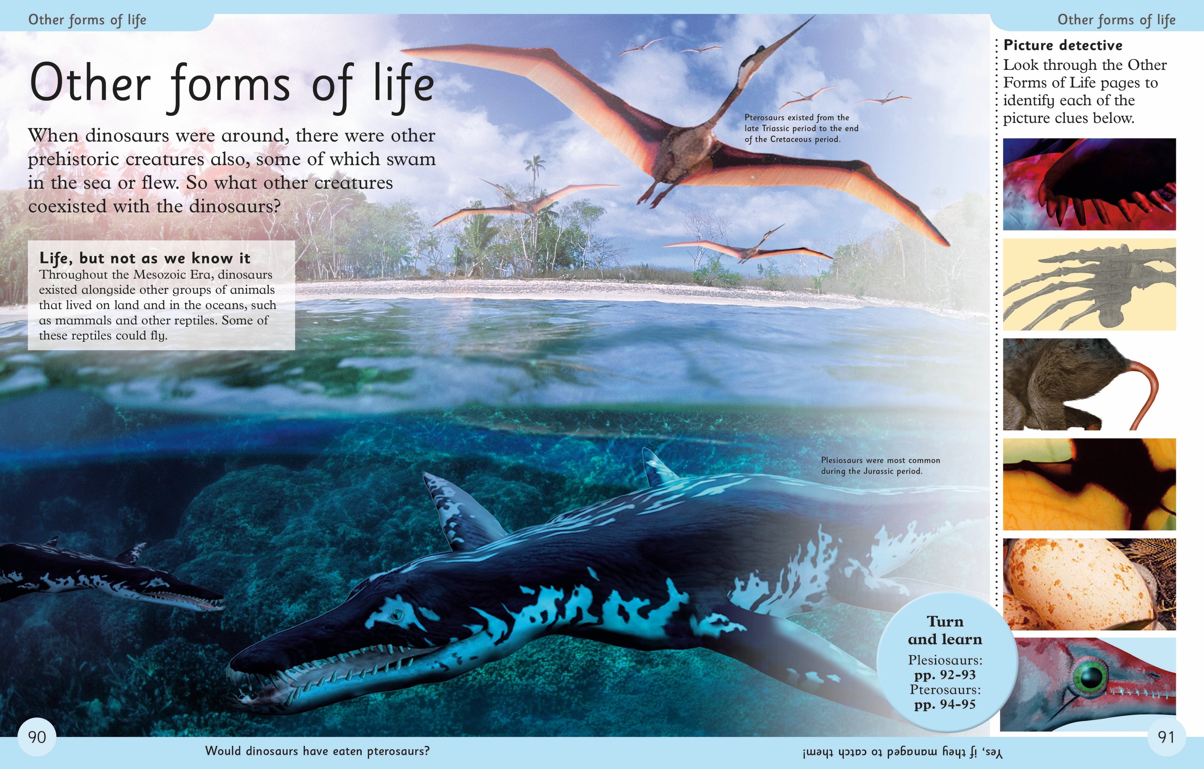 First Dinosaur Encyclopedia