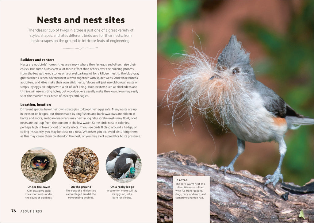 Birdwatching Guide-Spread, Image, (PRHC, Design, Do, Not, Use)-2