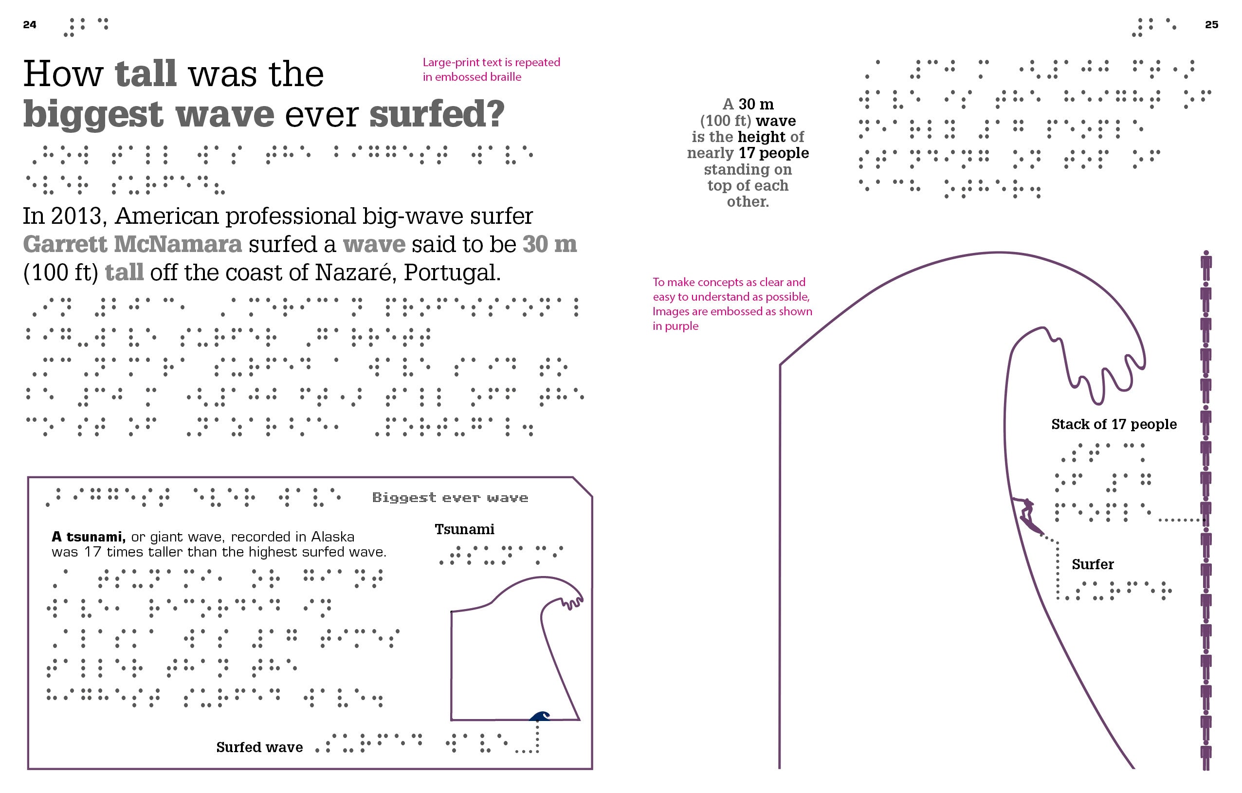 DK Braille: It Can't Be True