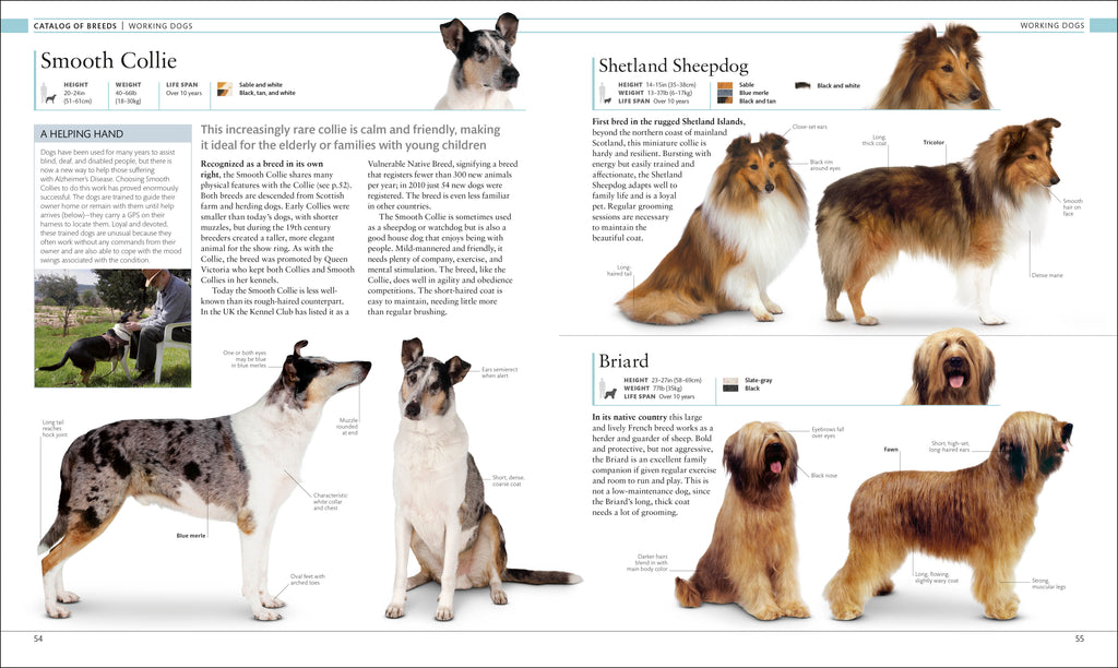 The Dog Encyclopedia-image