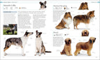The Dog Encyclopedia-image