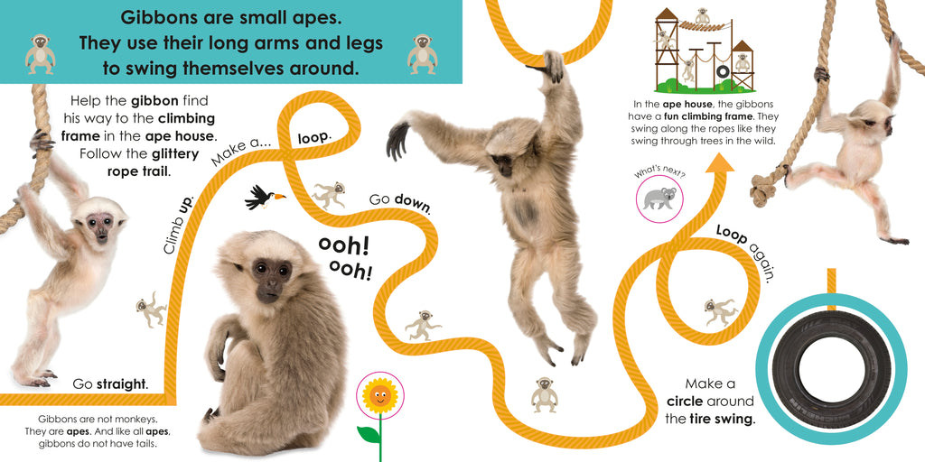 Follow the Trail At the Zoo