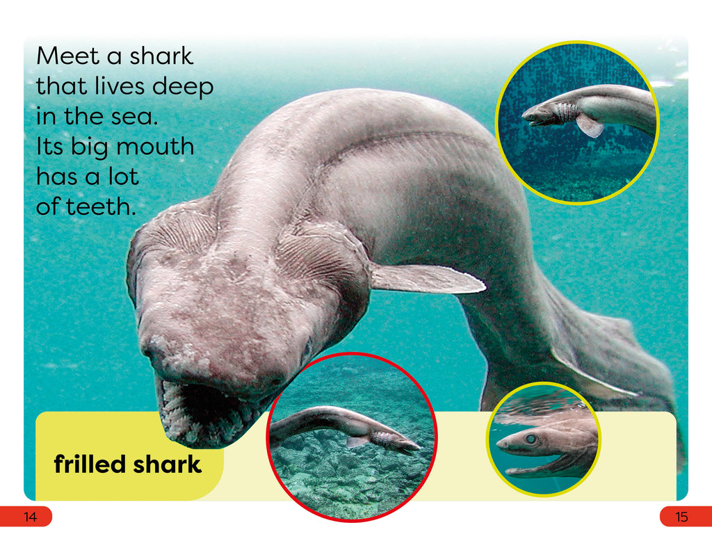 DK Super Readers Pre-Level Little Sharks Big Sharks