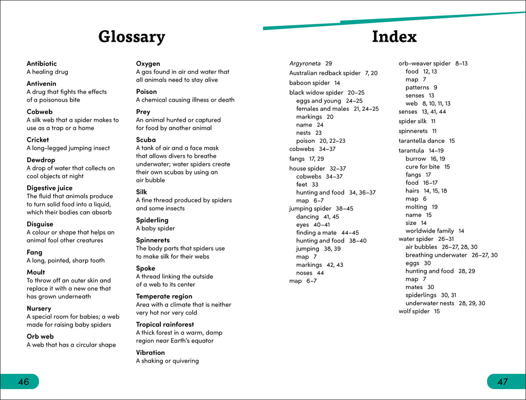 DK Super Readers Level 3 Spiders' Secrets
