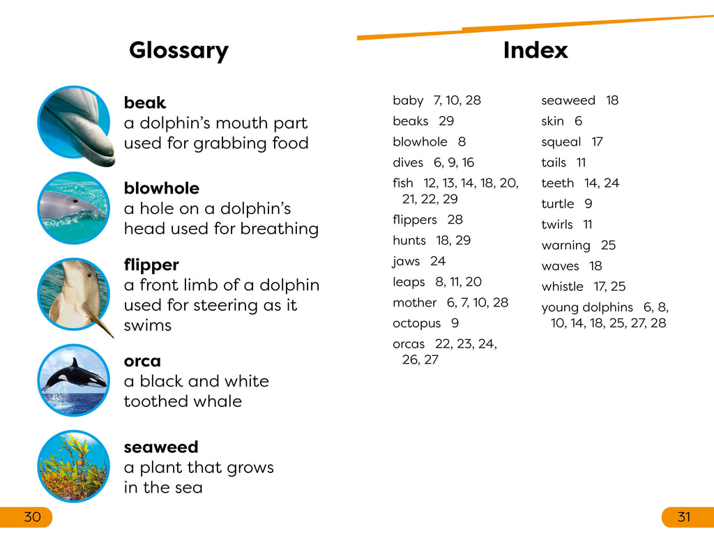 DK Super Readers Level 1 Diving Dolphin