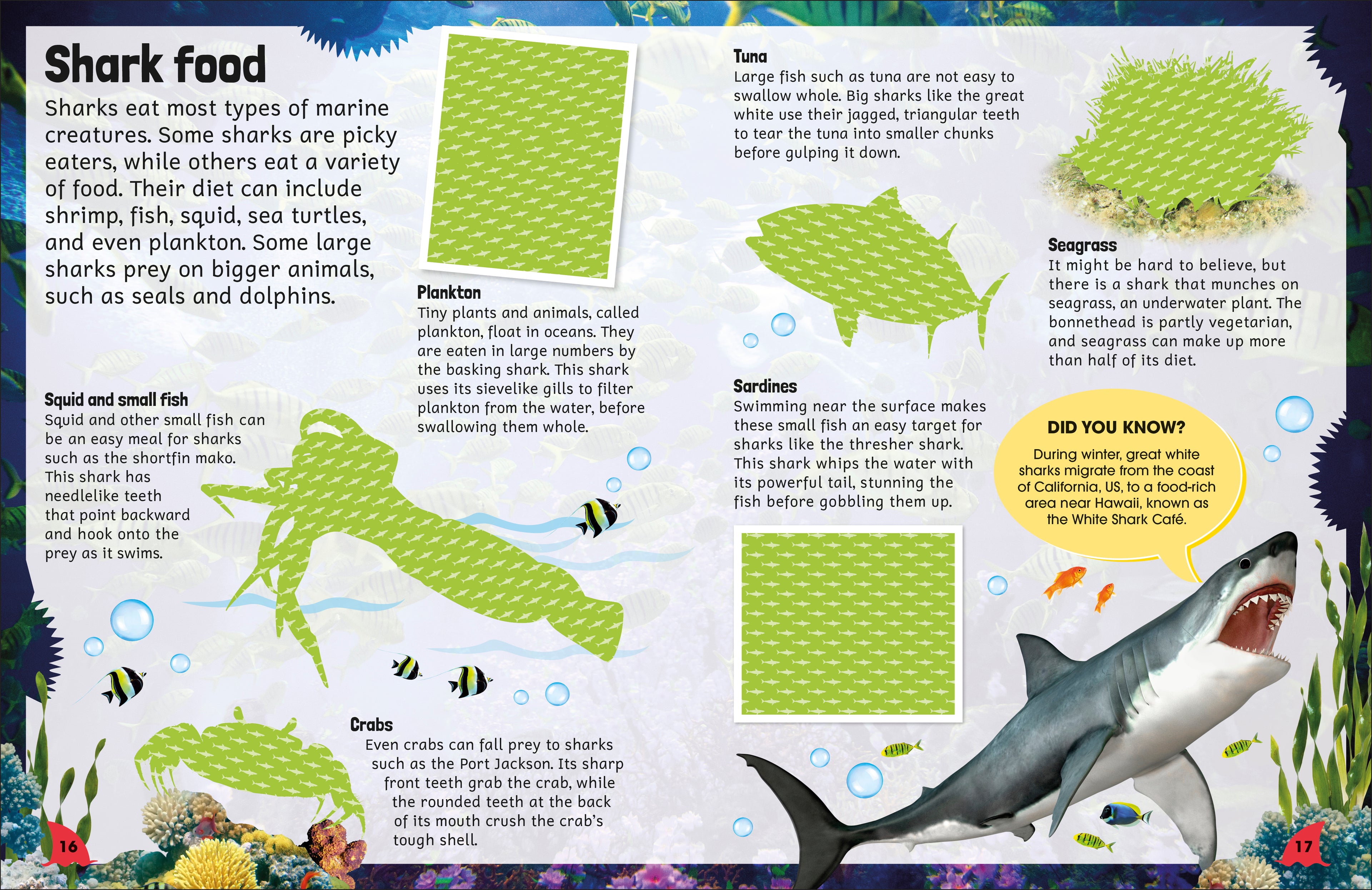Sticker Encyclopedia Sharks-Spread, Image, (PRHC, Design, Do, Not, Use)-4