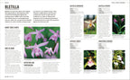 Grow Orchids-Spread, Image, (PRHC, Design, Do, Not, Use)-5