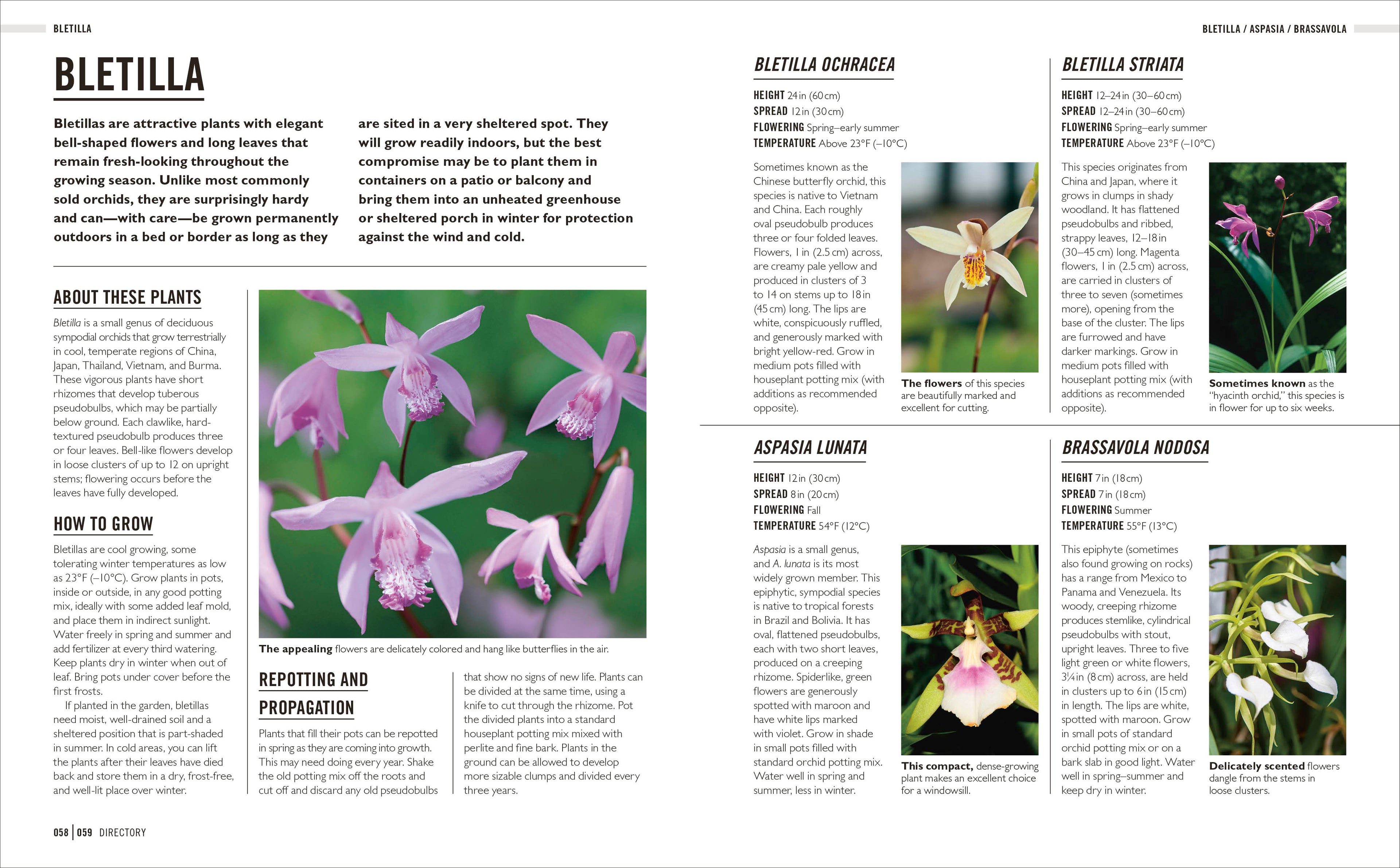 Grow Orchids-Spread, Image, (PRHC, Design, Do, Not, Use)-5