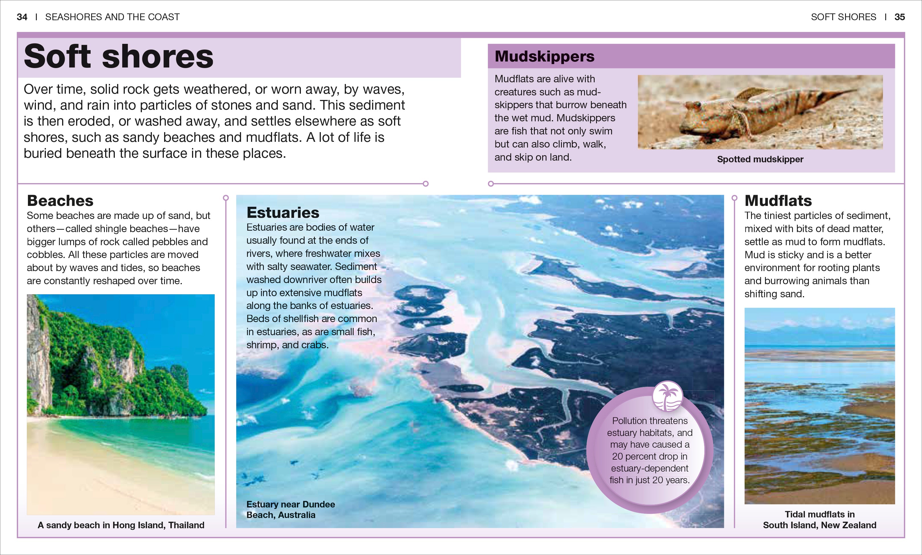 Pocket Genius Nature Collection Box Set-image