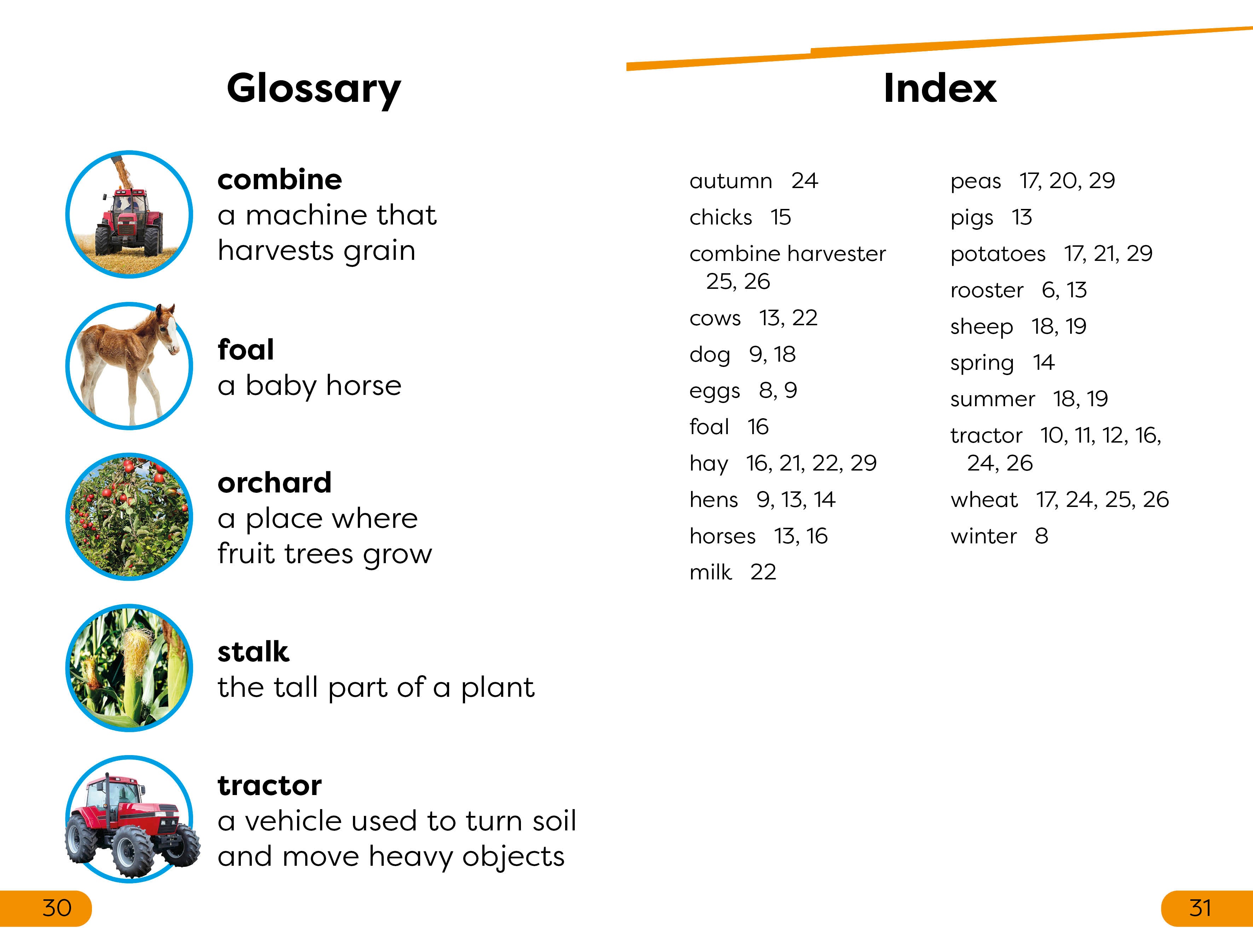 DK Super Readers Level 1 A Year on the Farm