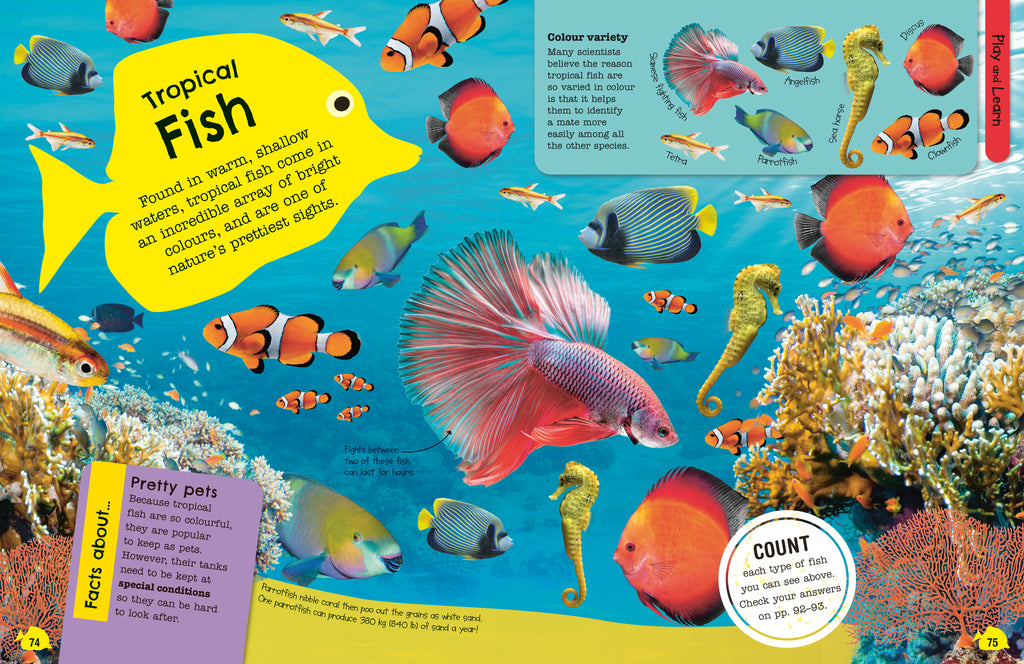 The Fact-Packed Activity Book: Sharks and Other Sea Creatures-Spread, Image, (PRHC, Design, Do, Not, Use)-3
