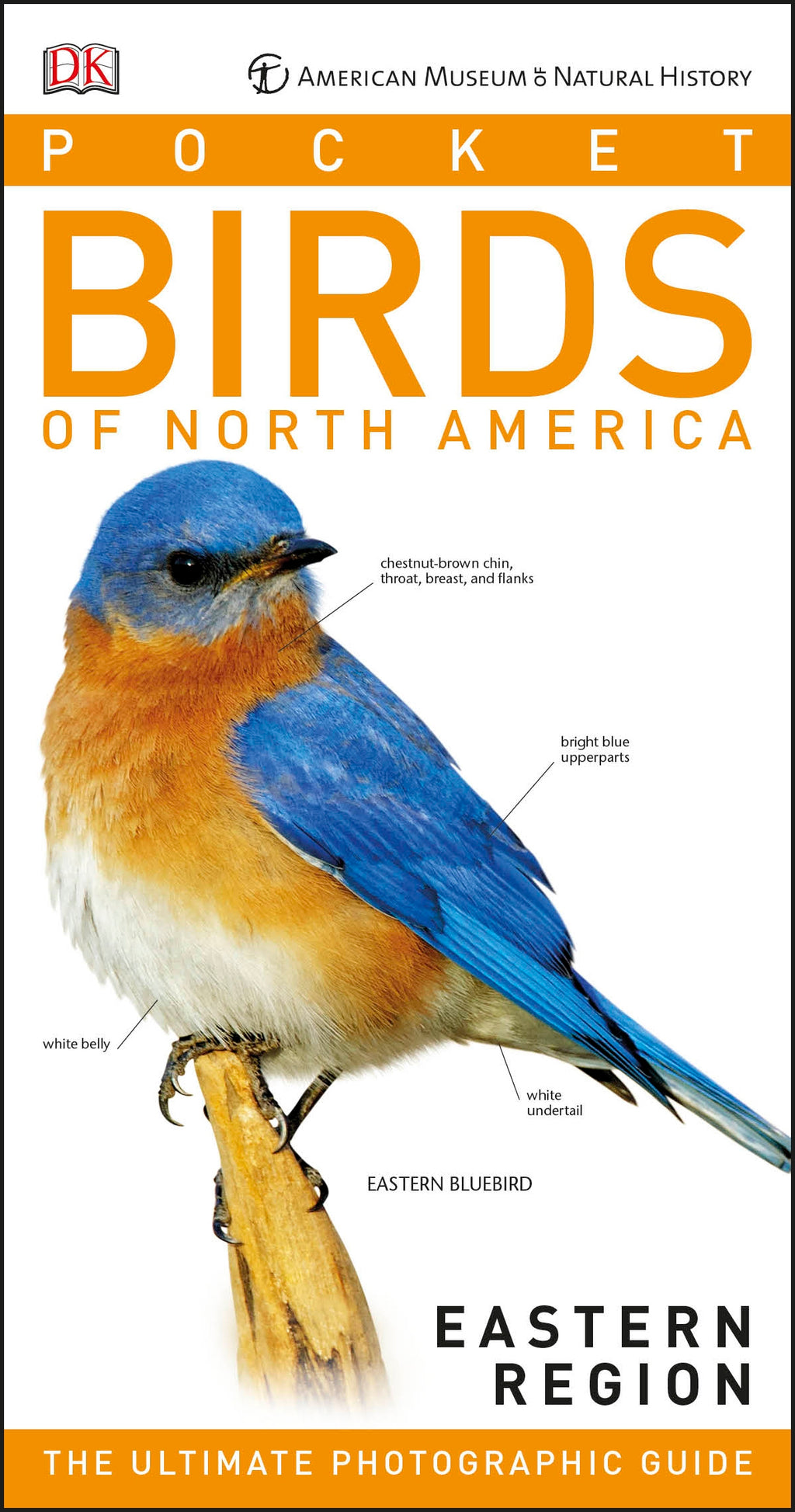 American Museum of Natural History: Pocket Birds of North America, Eastern Region