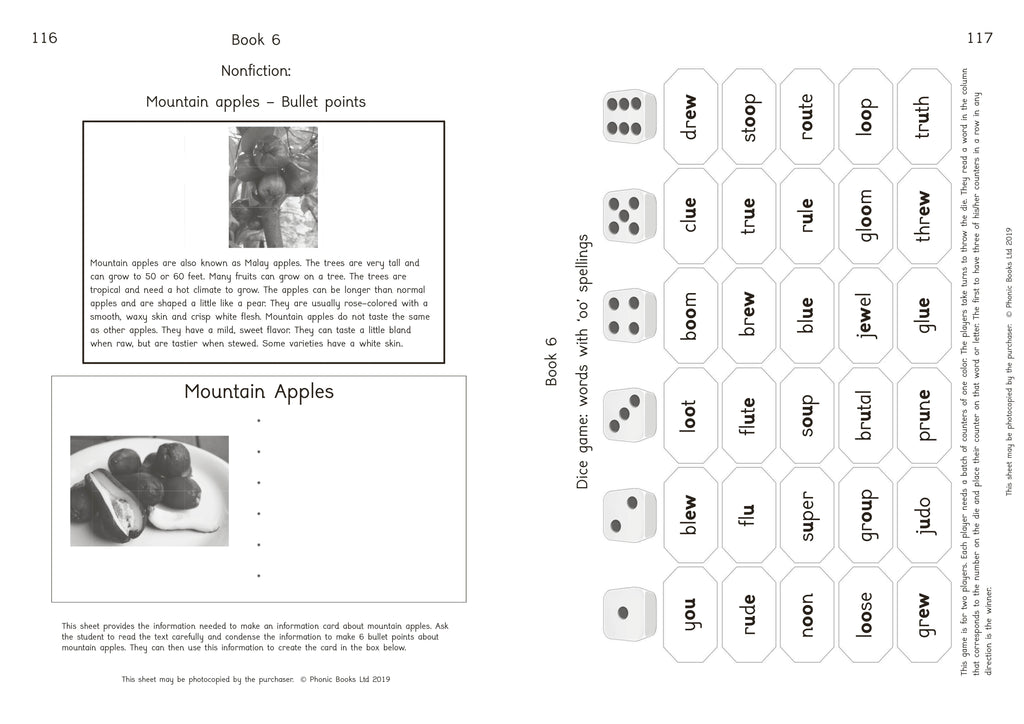 Phonic Books Island Adventure Activities
