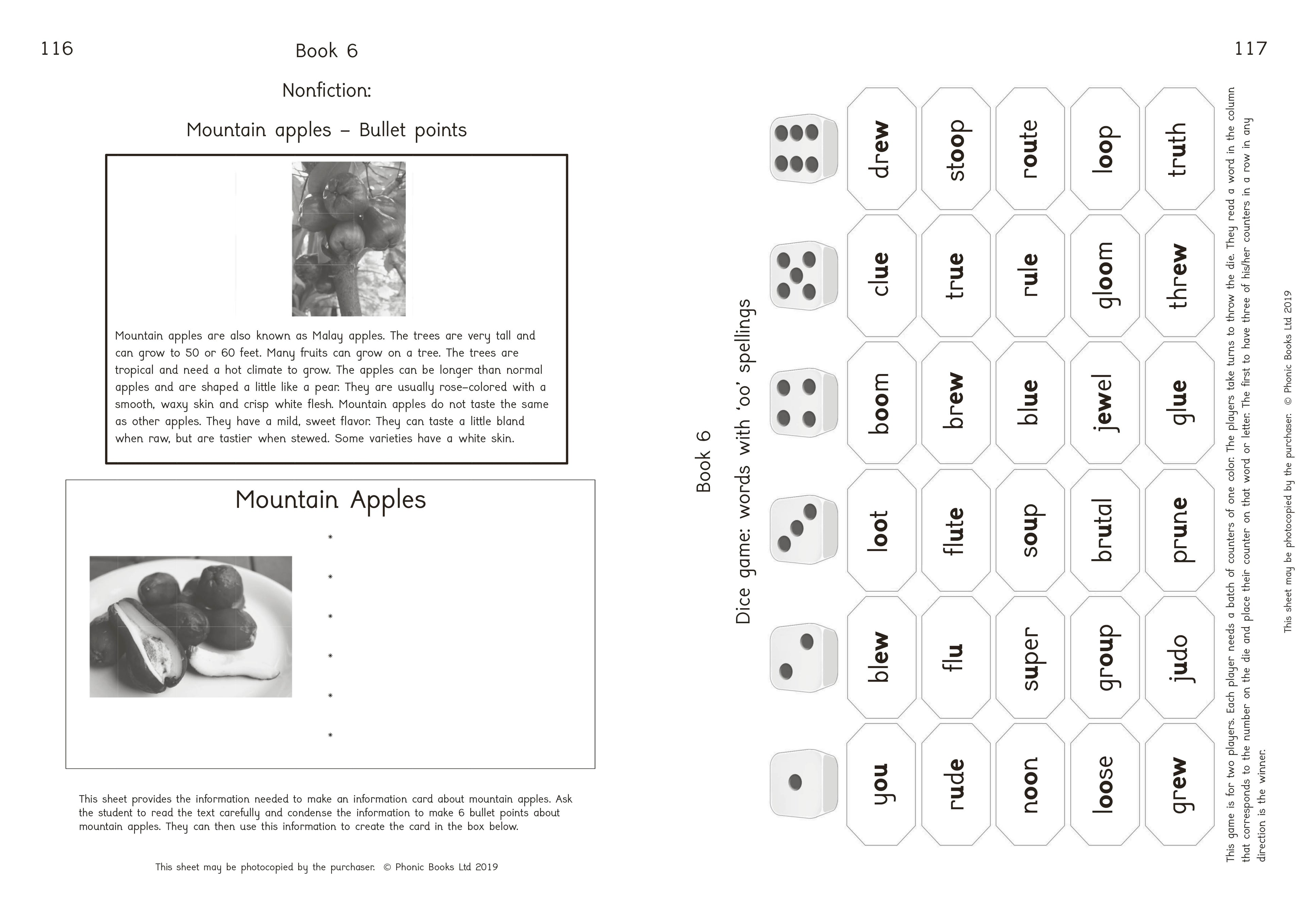 Phonic Books Island Adventure Activities