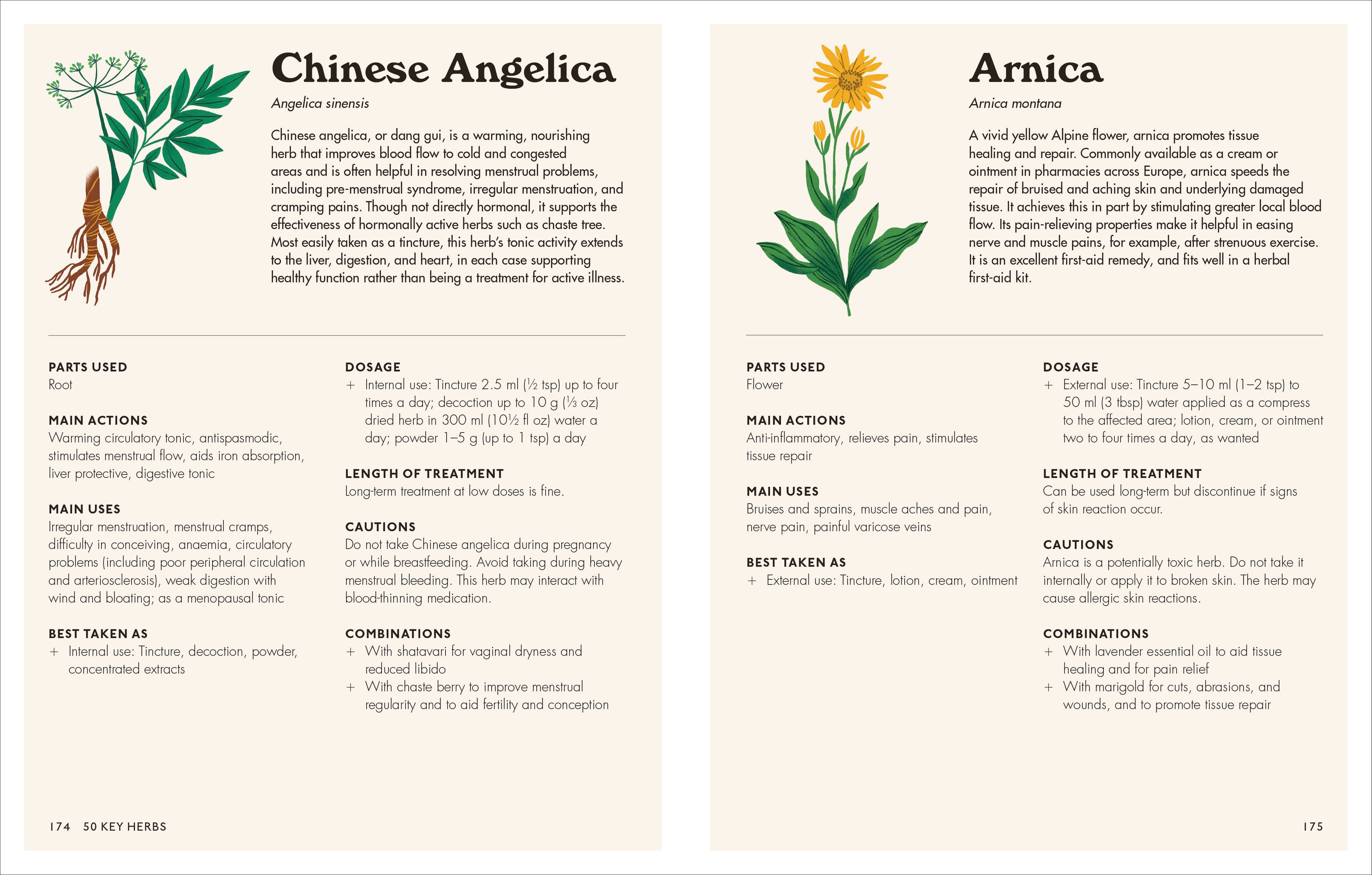 The Home Herbal-Spread, Image, (PRHC, Design, Do, Not, Use)-5