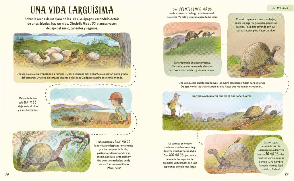 Paciencia-Spread, Image, (PRHC, Design, Do, Not, Use)-5