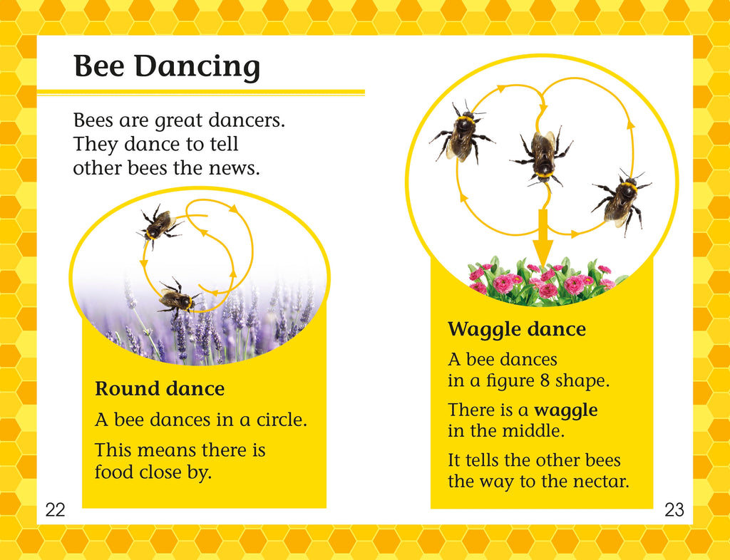 DK Readers L2: Amazing Bees
