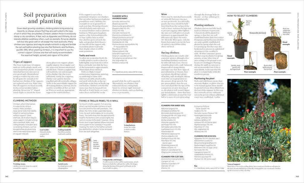 RHS Encyclopedia of Gardening New Edition-spread image