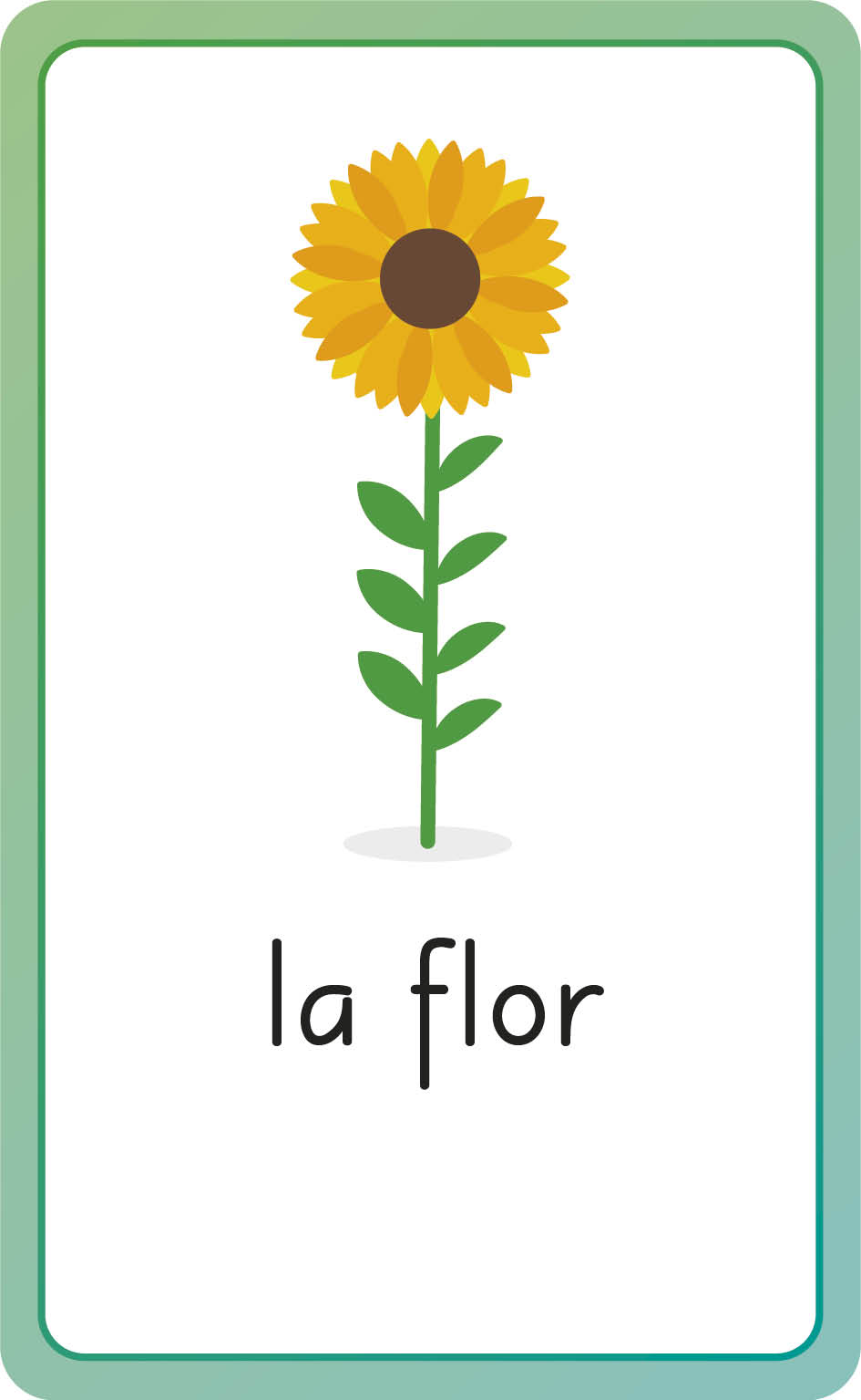 Spanish for Everyone Junior First Words Flash Cards-image