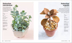 Succulents-Spread, Image, (PRHC, Design, Do, Not, Use)-7