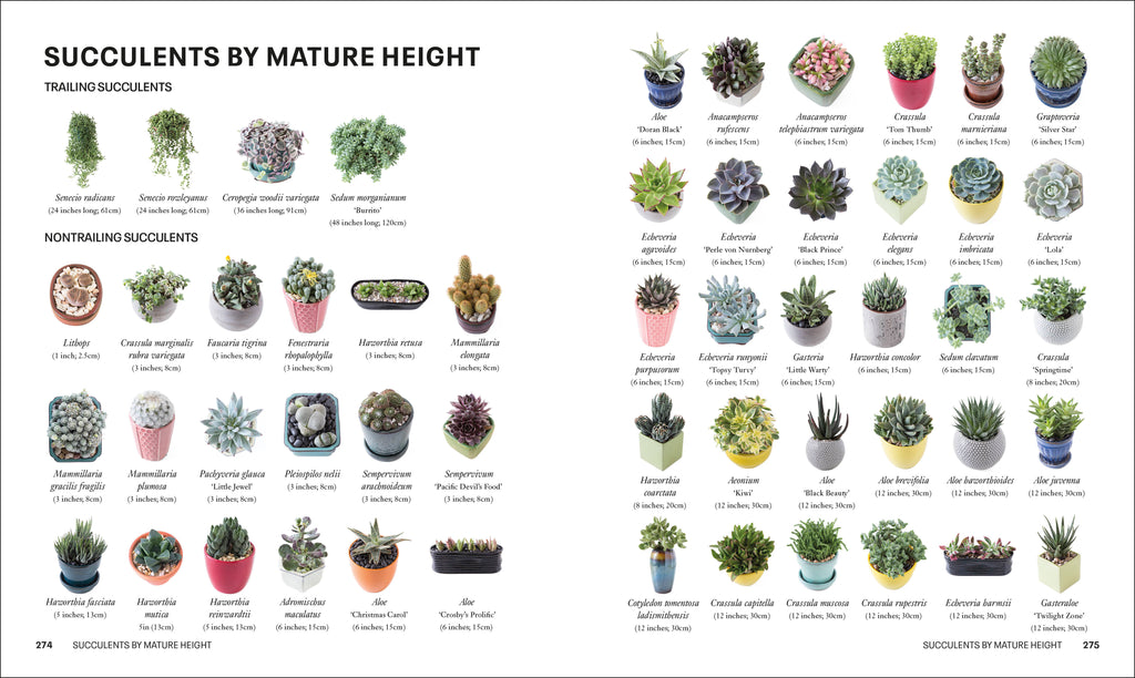 Succulents-Spread, Image, (PRHC, Design, Do, Not, Use)-10