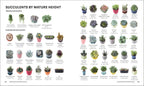 Succulents-Spread, Image, (PRHC, Design, Do, Not, Use)-10
